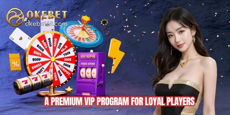 A Premium VIP Program for Loyal Players
